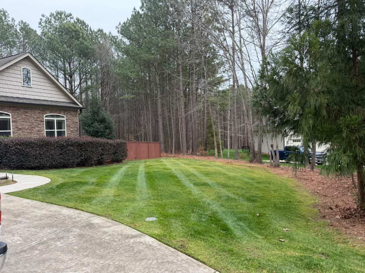 Premium Sod Installation